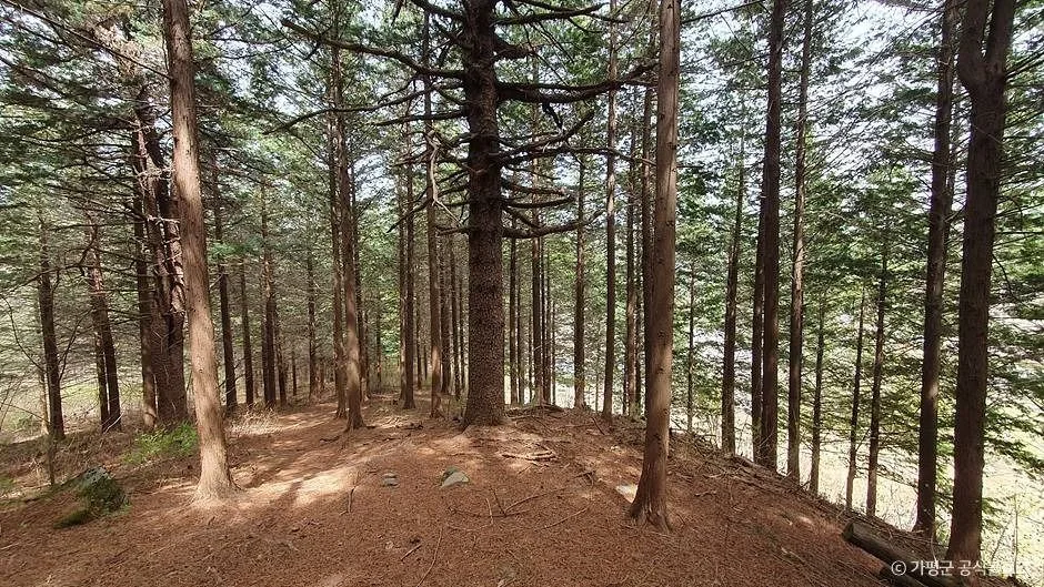 가평_초롱이둥지마을 (7)