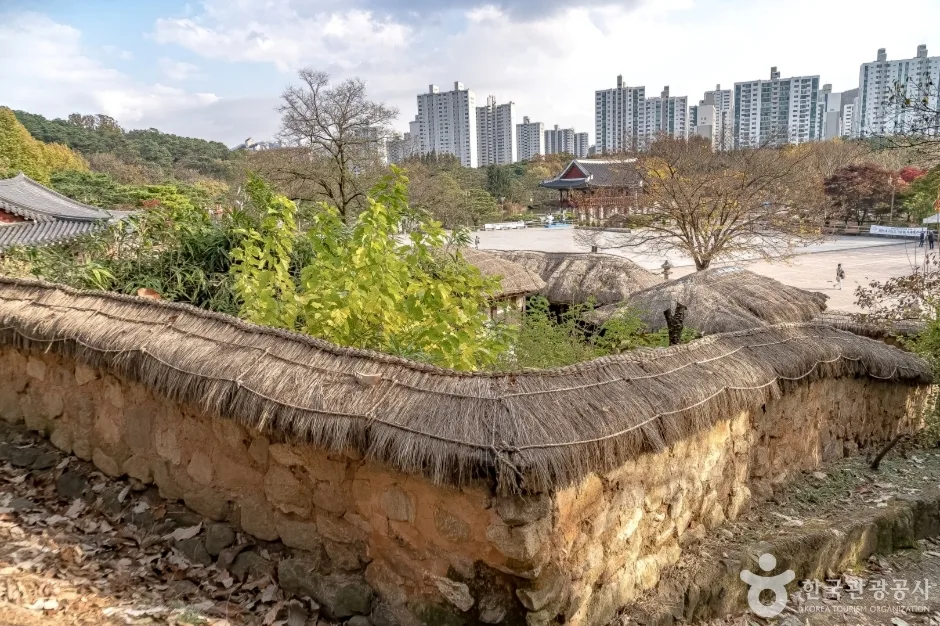 수내동가옥(이택구가옥) (14)