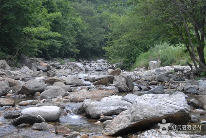 만산동계곡