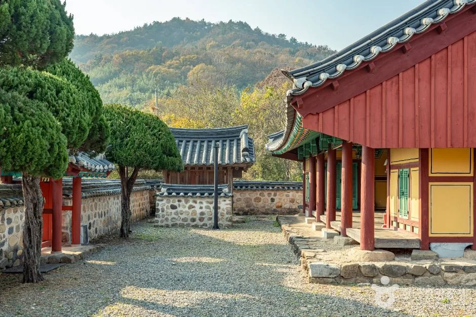 화순_화순 정암 조광조선생 적려 유허비 (1)