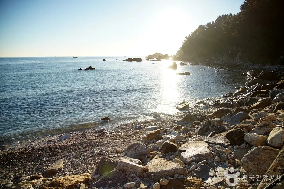 신남해변 (3)