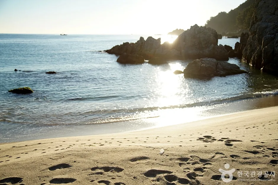 신남해변 (10)