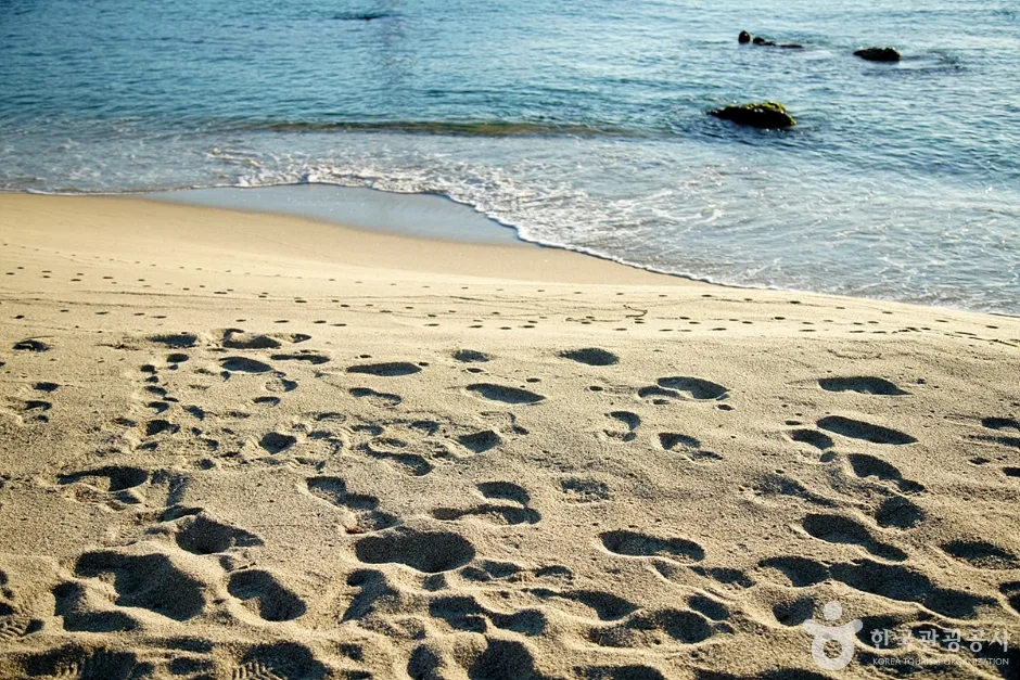 신남해변 (9)