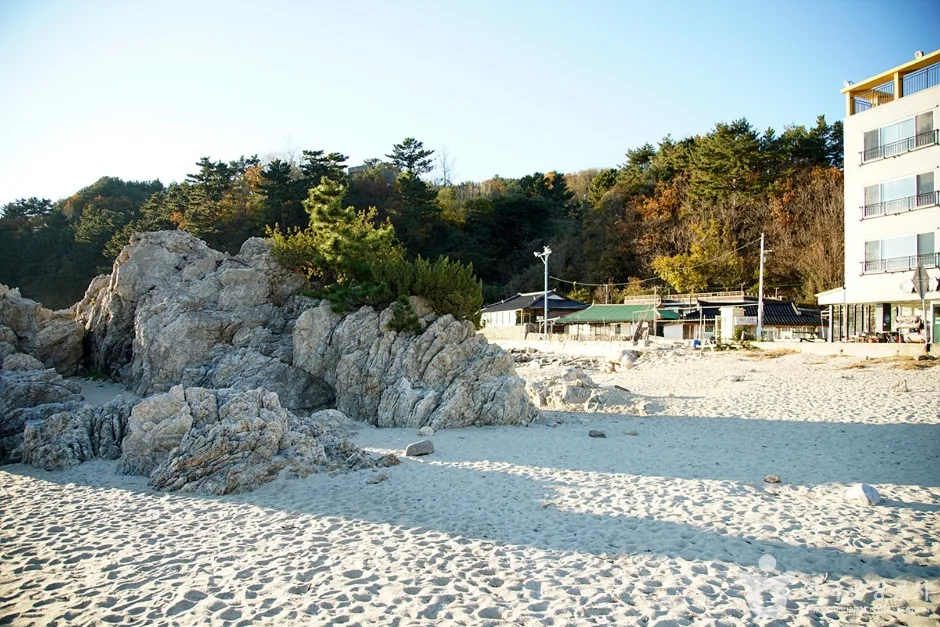 신남해변 (8)