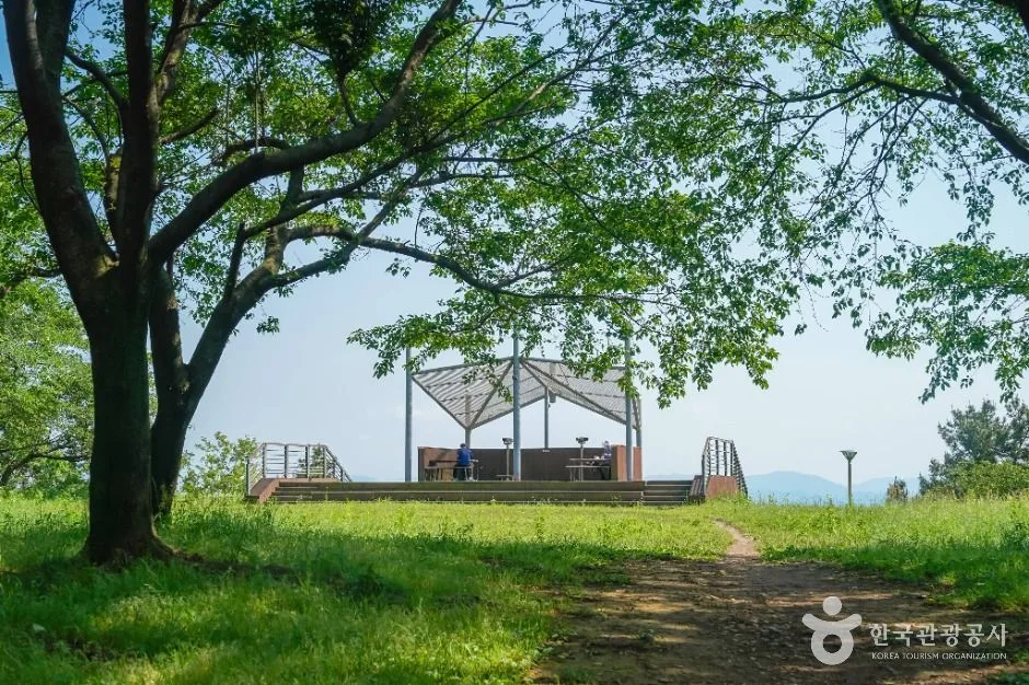 창원_안민고개 (7)