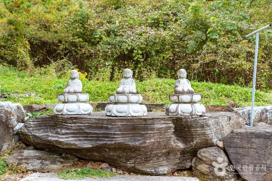 논산_반야사(논산) (5)