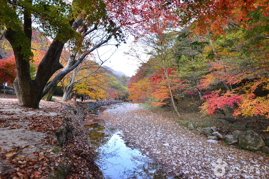 전북_순창_강천사계곡 (16)