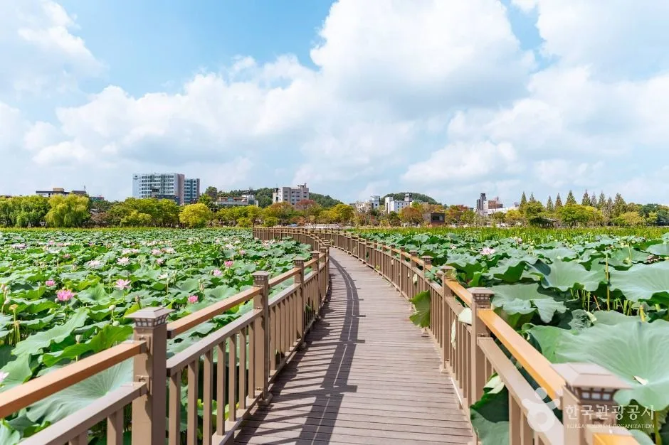 전북_전주_덕진공원_외부_3-1.jpg