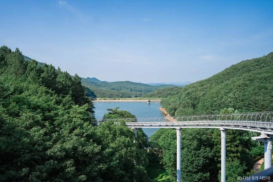 보성 가볼만한곳 보성 여름방학 가족 여행_제암산자연휴양림_1-3
