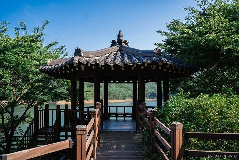 보성 가볼만한곳 보성 여름방학 가족 여행_제암산자연휴양림_1-8