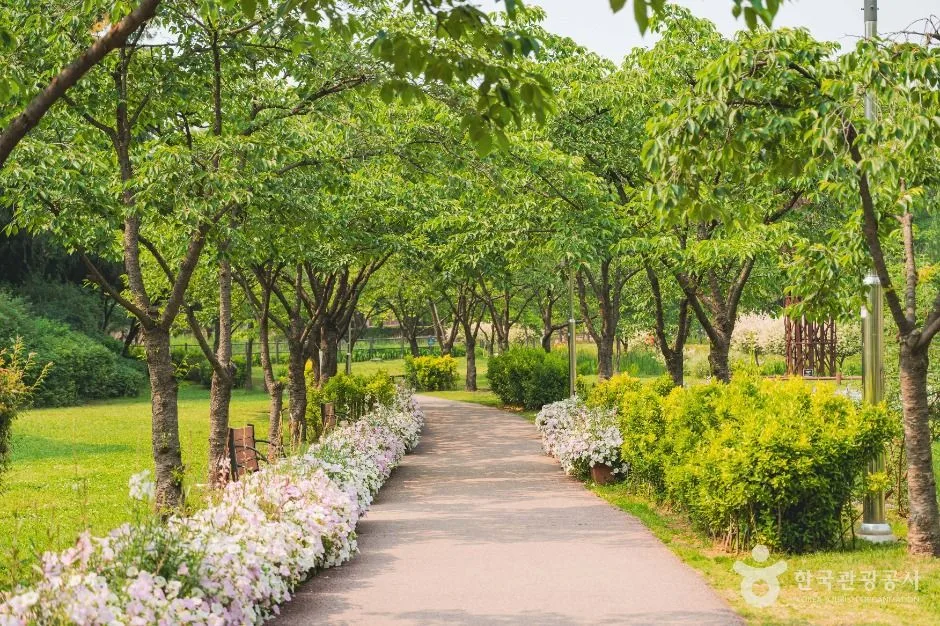 서울_용산가족공원 (2)