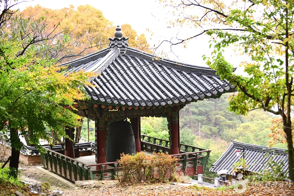 원효사 (4)
