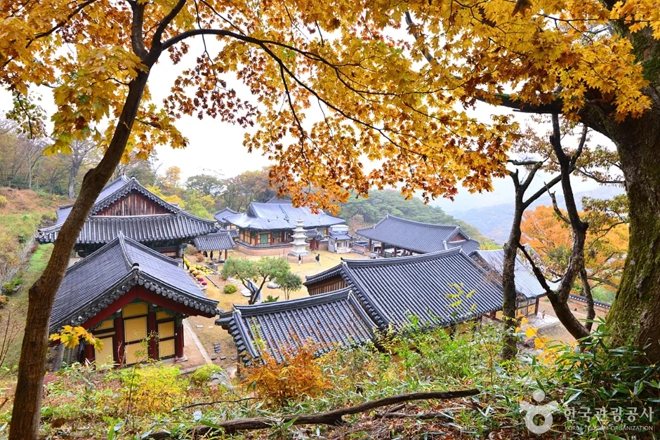 원효사 (2)