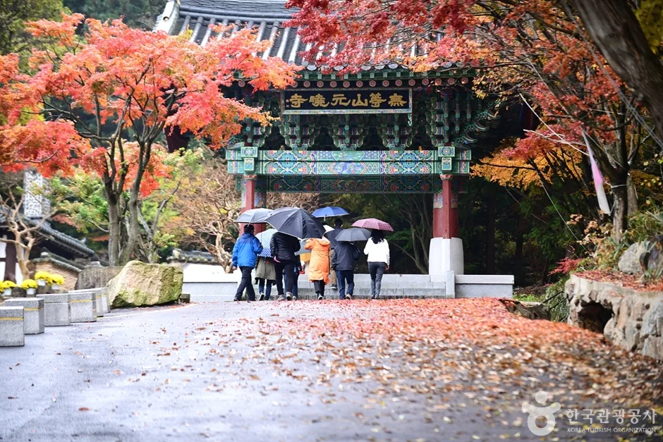 원효사 (1)