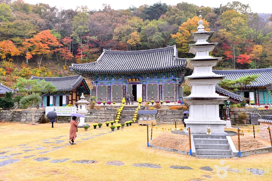 원효사 (13)