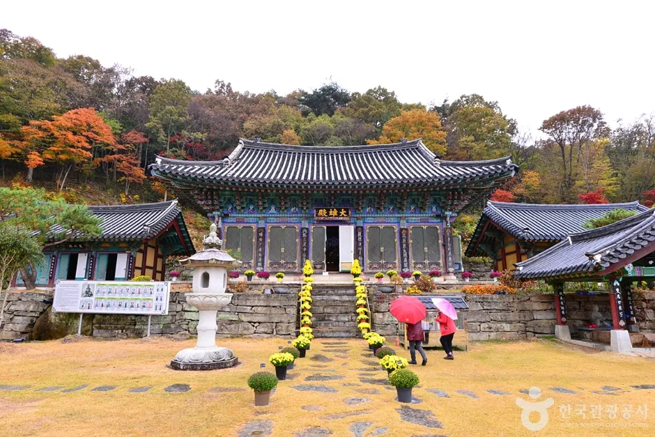 원효사 (15)