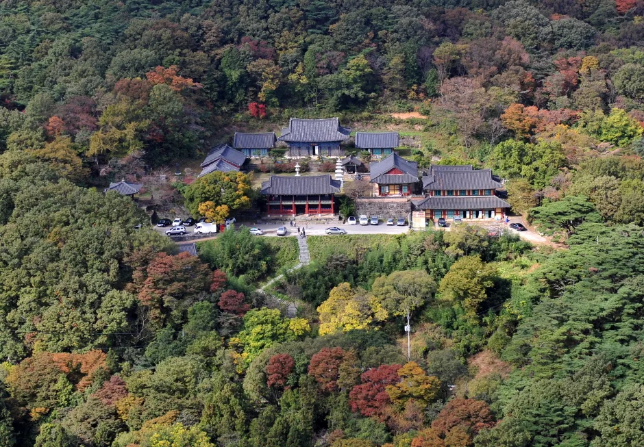 원효사 (3)
