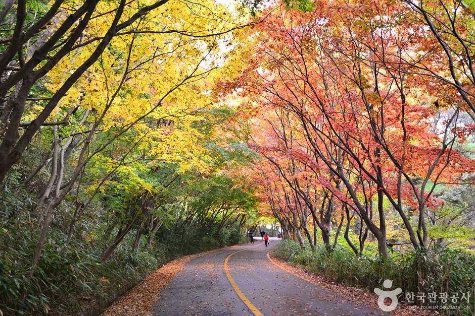원효사 (11)
