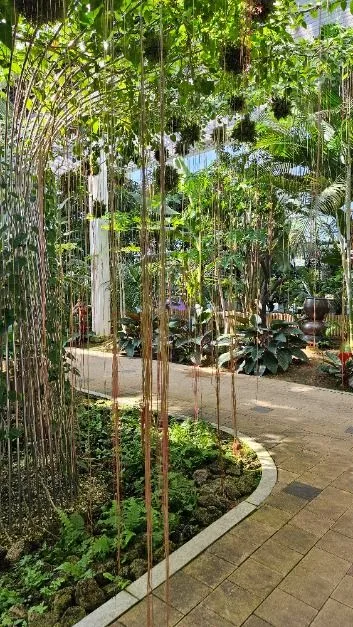 제천_아열대 스마트 온실 (7)