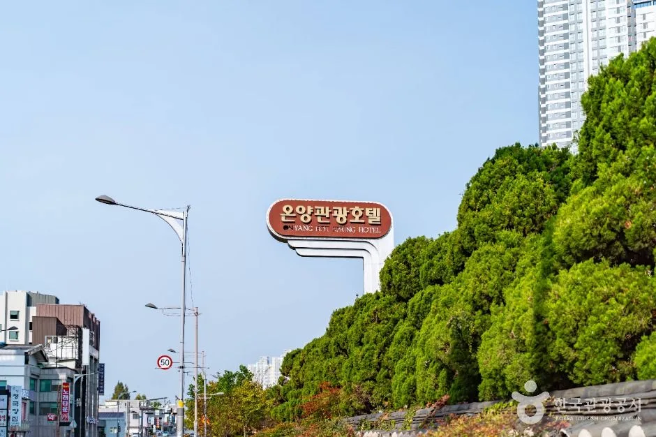 아산_온양온천지구 (2)