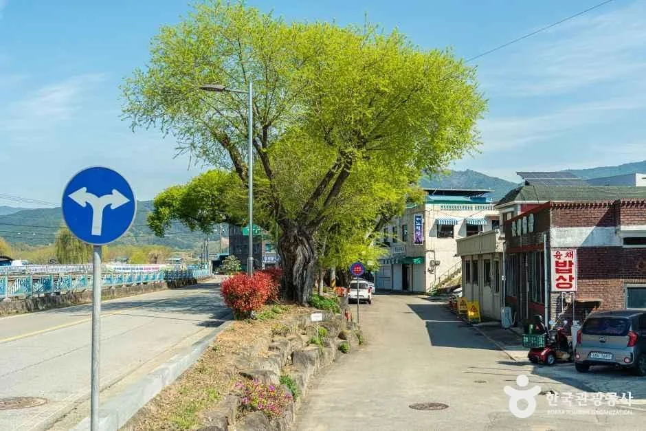 구례_연파마을 (3).jpg
