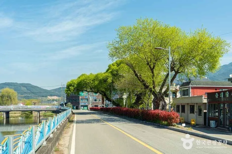 구례_연파마을 (7).jpg