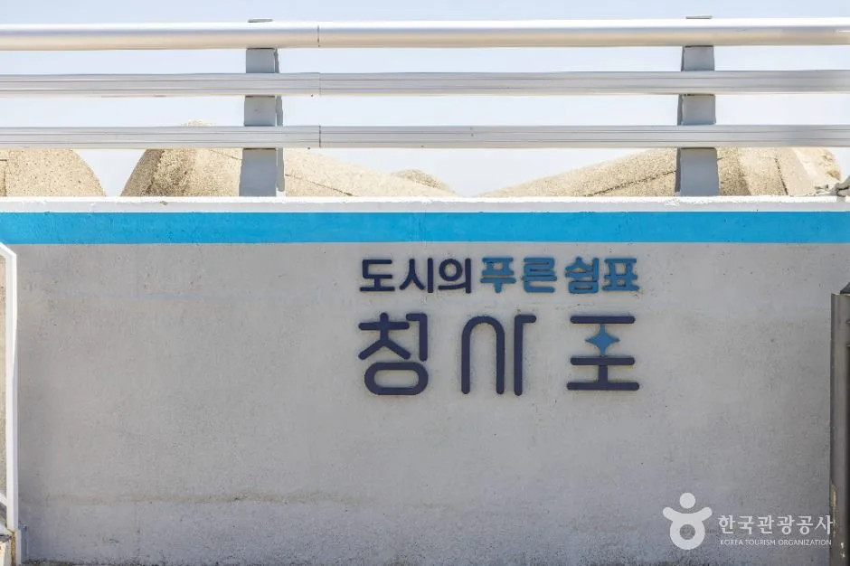 부산_청사포 (8)
