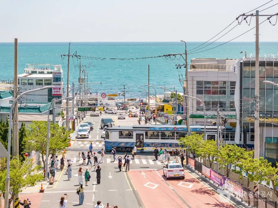 부산_청사포 (7)