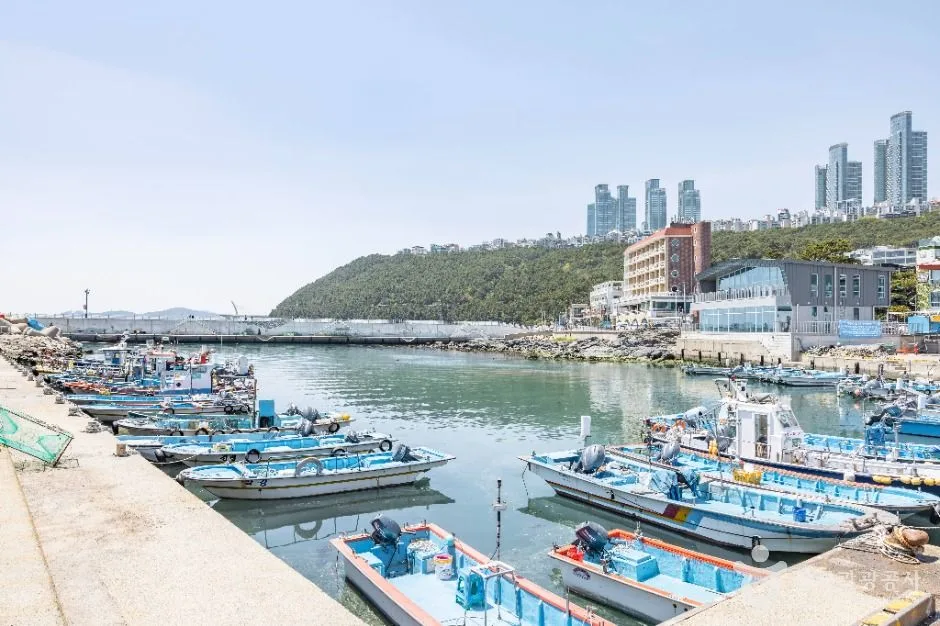 부산_청사포 (9)