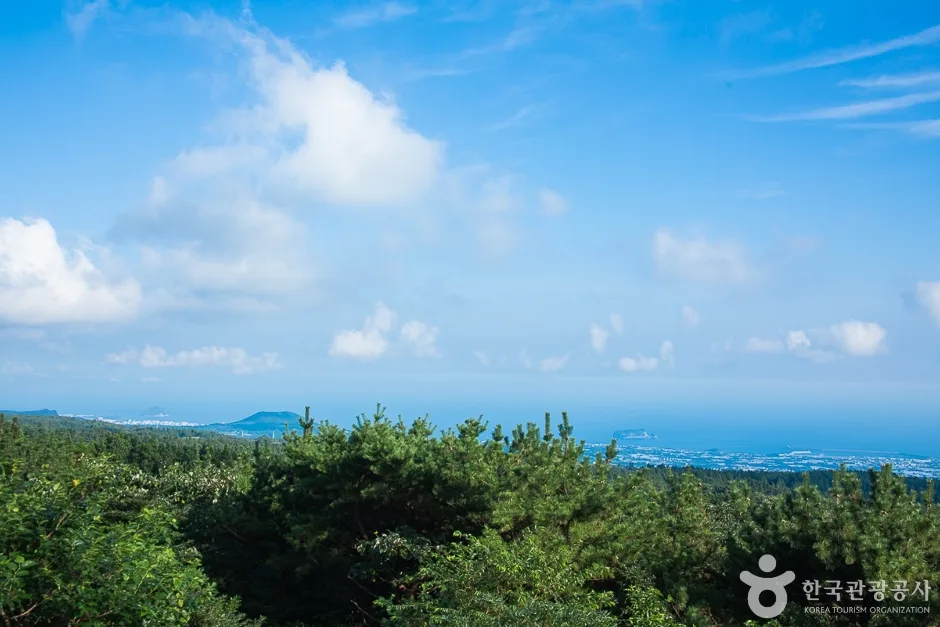 거린사슴전망대 (10)