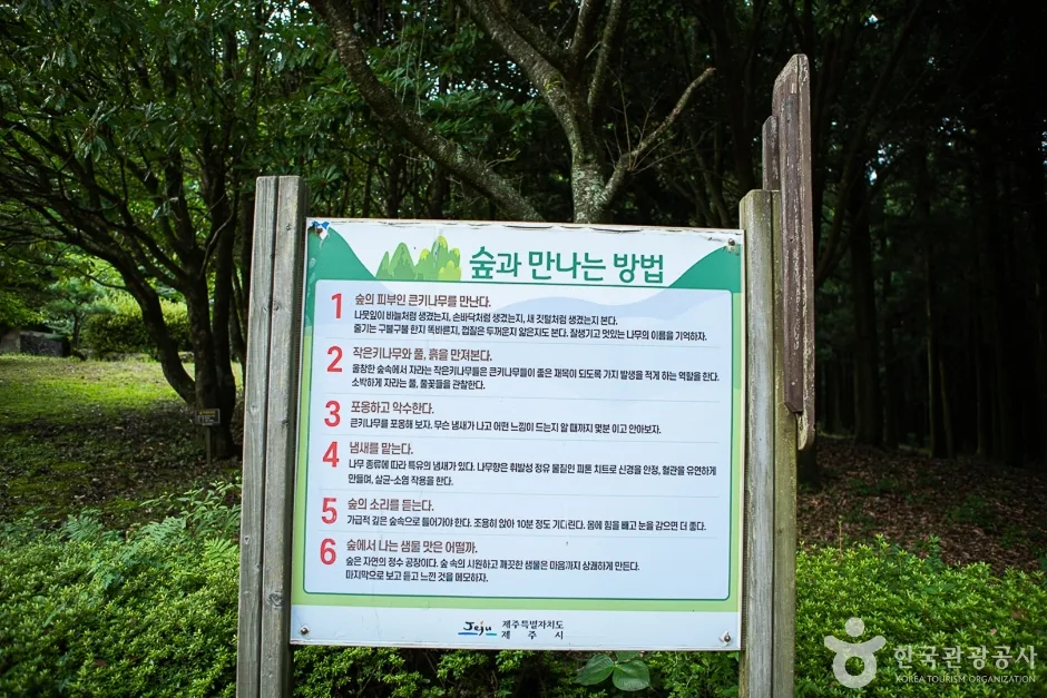 장생의숲길(13)