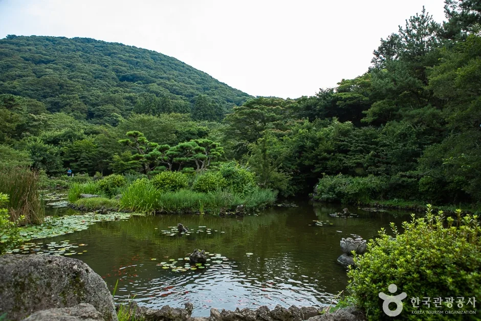 장생의숲길(14)