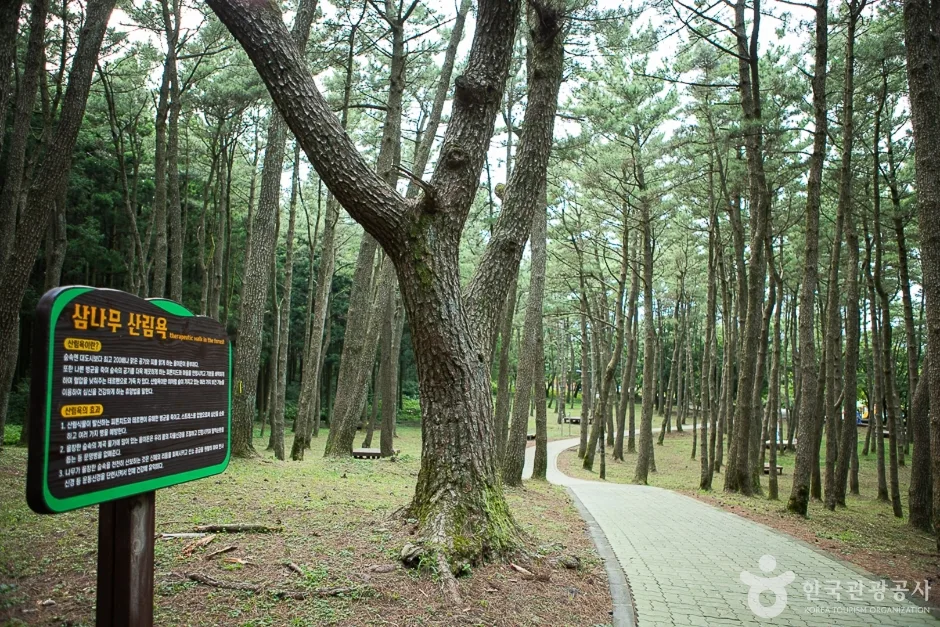 장생의숲길(1)
