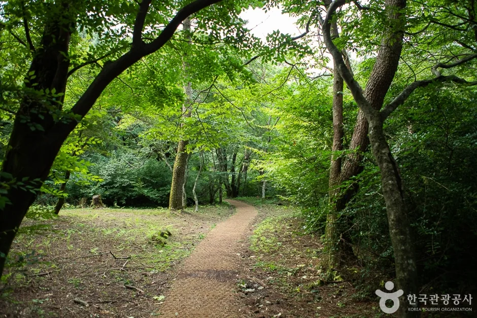 장생의숲길(3)