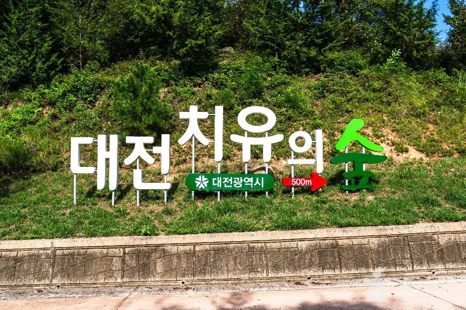 중구_대전 치유의 숲 (6)