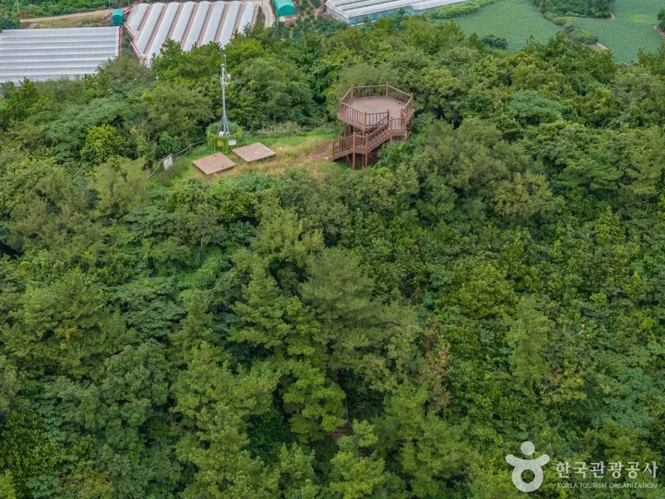 제주_제주_저지오름(닥몰오름,새오름) (5)