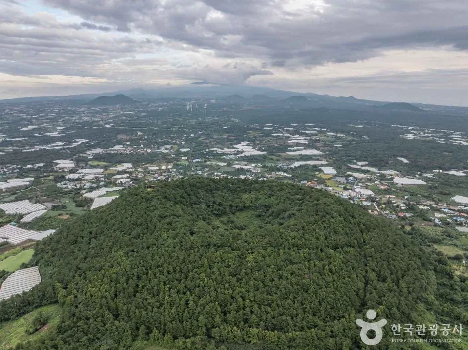 제주_제주_저지오름(닥몰오름,새오름) (8)