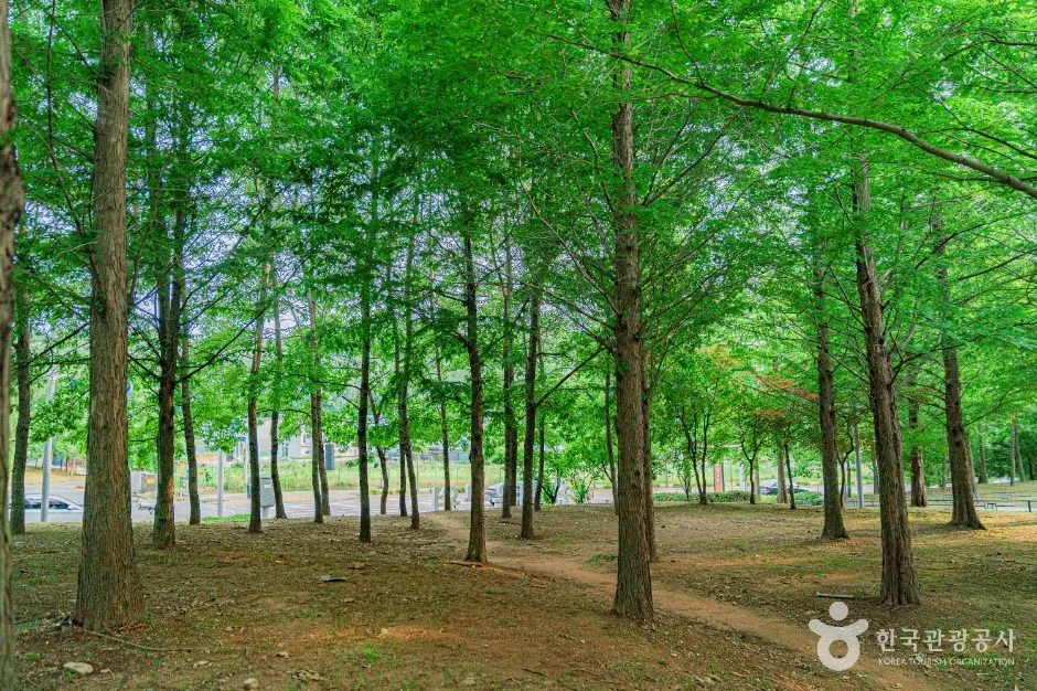 김포_은여울공원 (3)