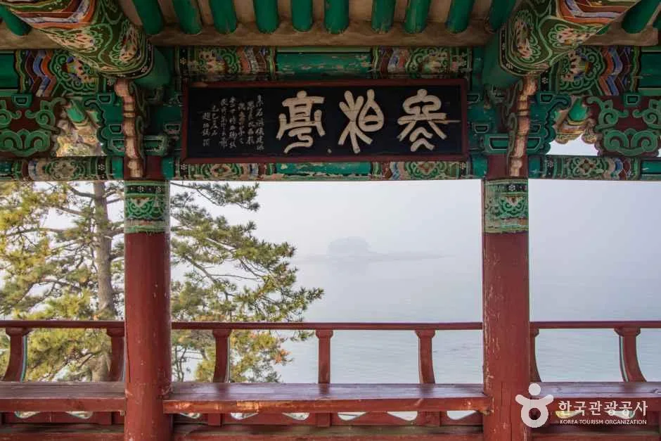 충남_서천_서천 마량리 동백나무숲_외부_7.png