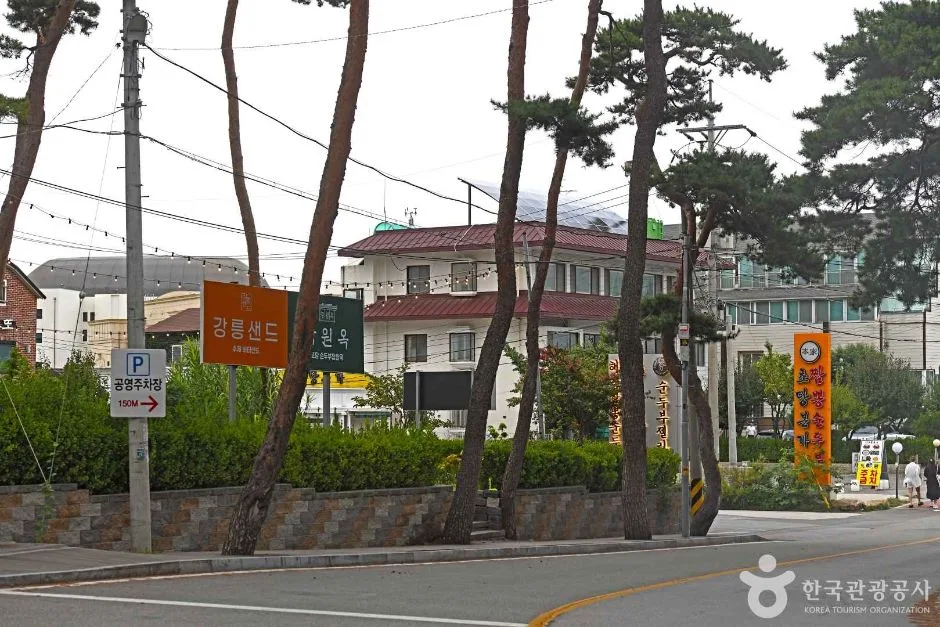 강릉_초당순두부마을 (3)