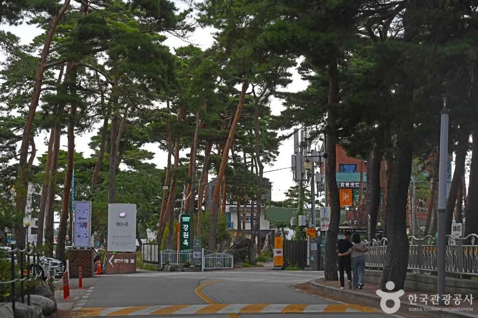 강릉_초당순두부마을 (6)