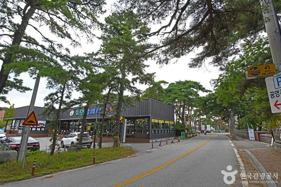 강릉_초당순두부마을 (5)