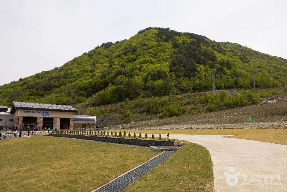 정선_가리왕산케이블카 (9)