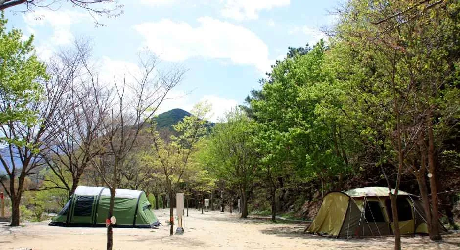 청도_운문산군립공원 (7).jpg