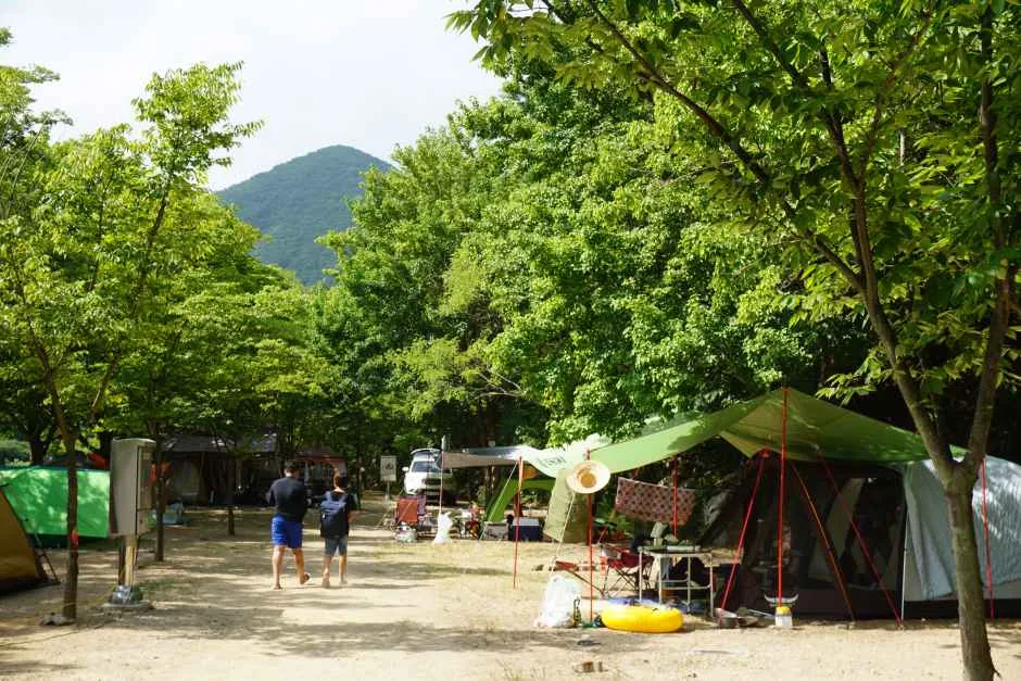 청도_운문산군립공원 (1).png