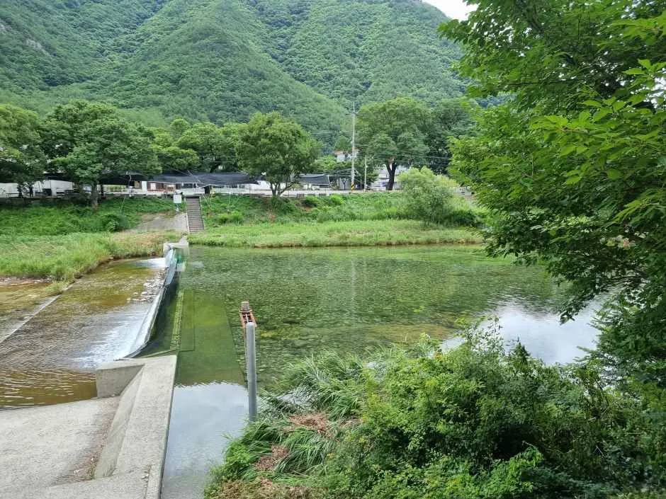 청도_운문산군립공원 (2).jpg