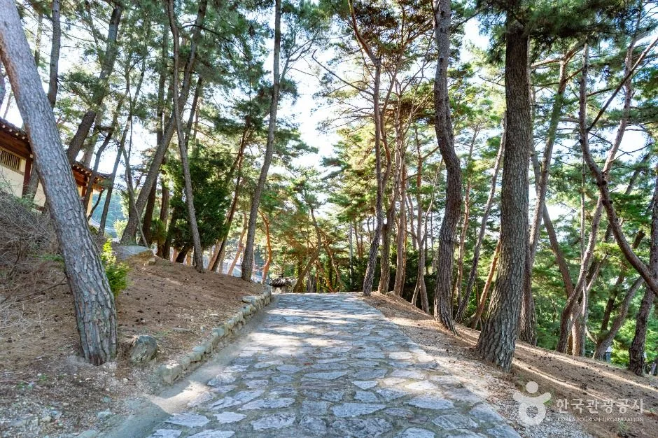 경주_보리사(경주) (5)