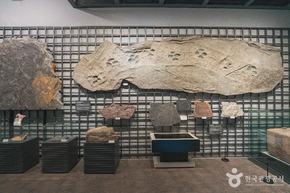 대전_천연기념물센터(대전) (4)