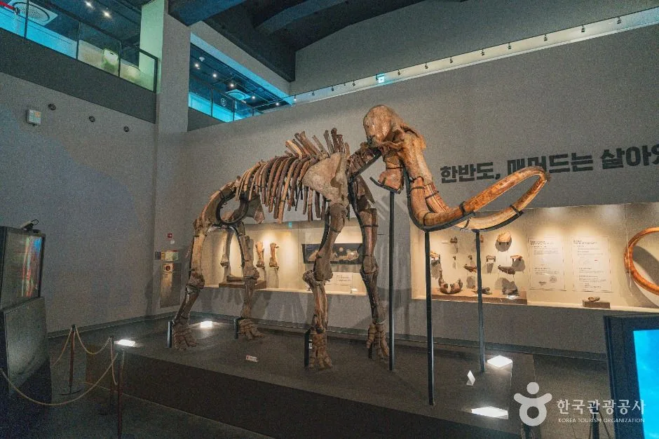 대전_천연기념물센터(대전) (6)