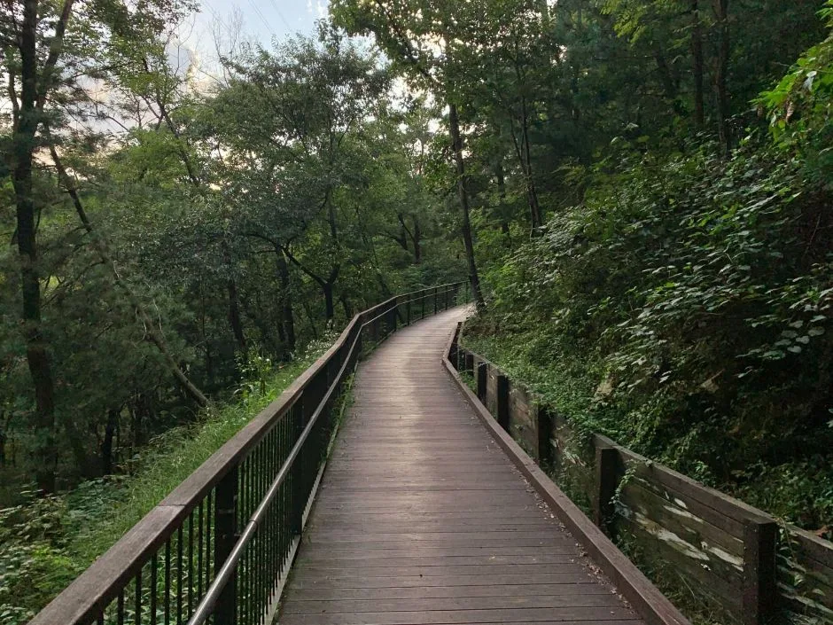 만수산 무장애나눔길_외부 전경3